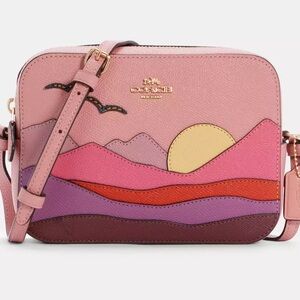 Coach Pink and Purple Crossbody Bag